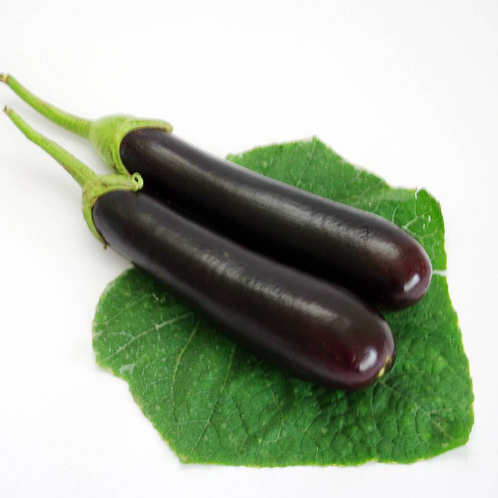 蔬菜名称:【燎原特惠】新鲜长茄绿色种植绿色无公害蔬菜新鲜青菜顺丰